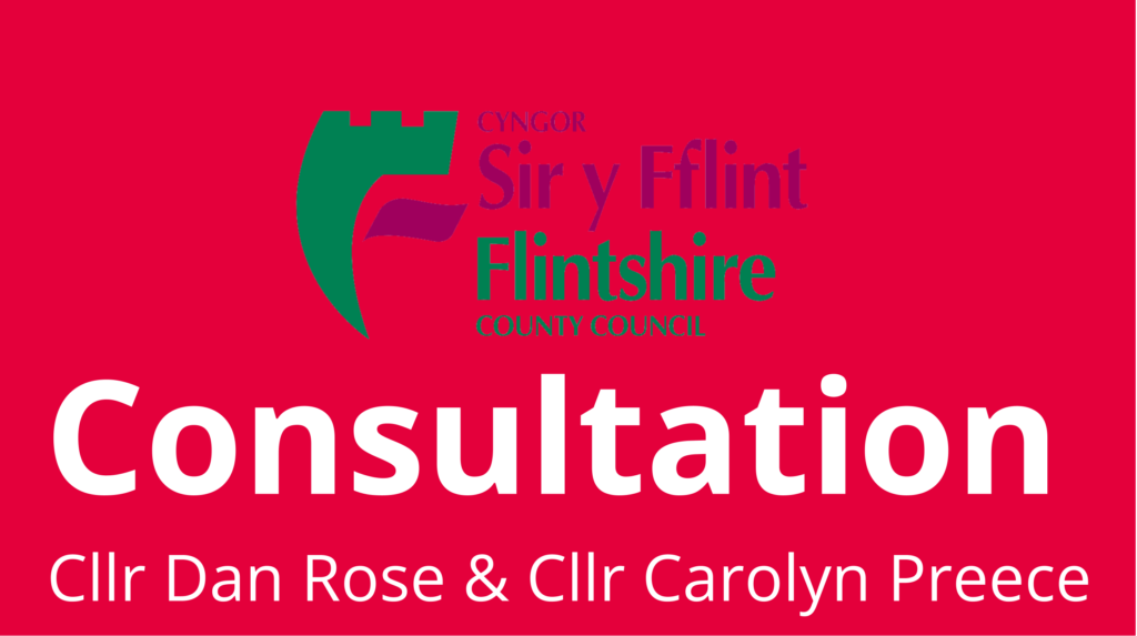 Flintshire Council Consultation